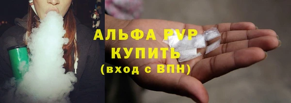 амф Верея
