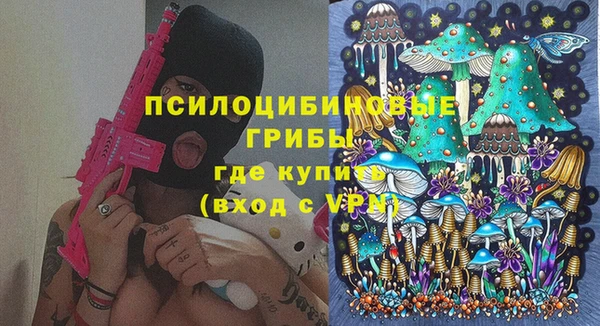 амф Верея