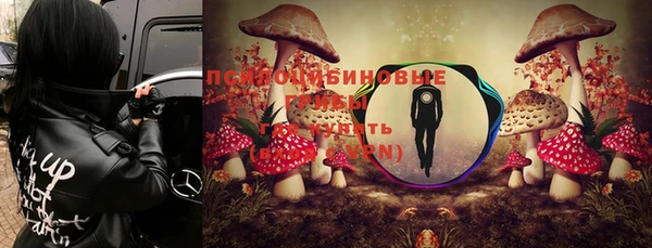 альфа пвп Верхнеуральск
