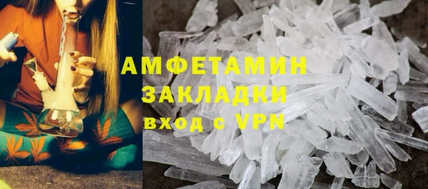 гидра Бородино