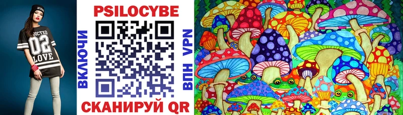 Псилоцибиновые грибы Psilocybe  Лысково 