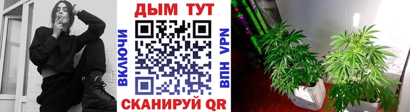 Канабис сатива  darknet как зайти  Лысково 